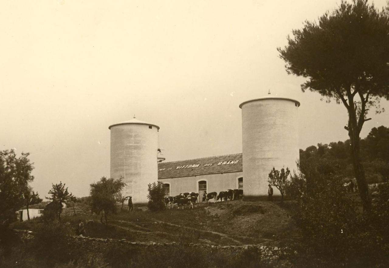 Rocca Sul Mare Hotel Vieste Eksteriør bilde